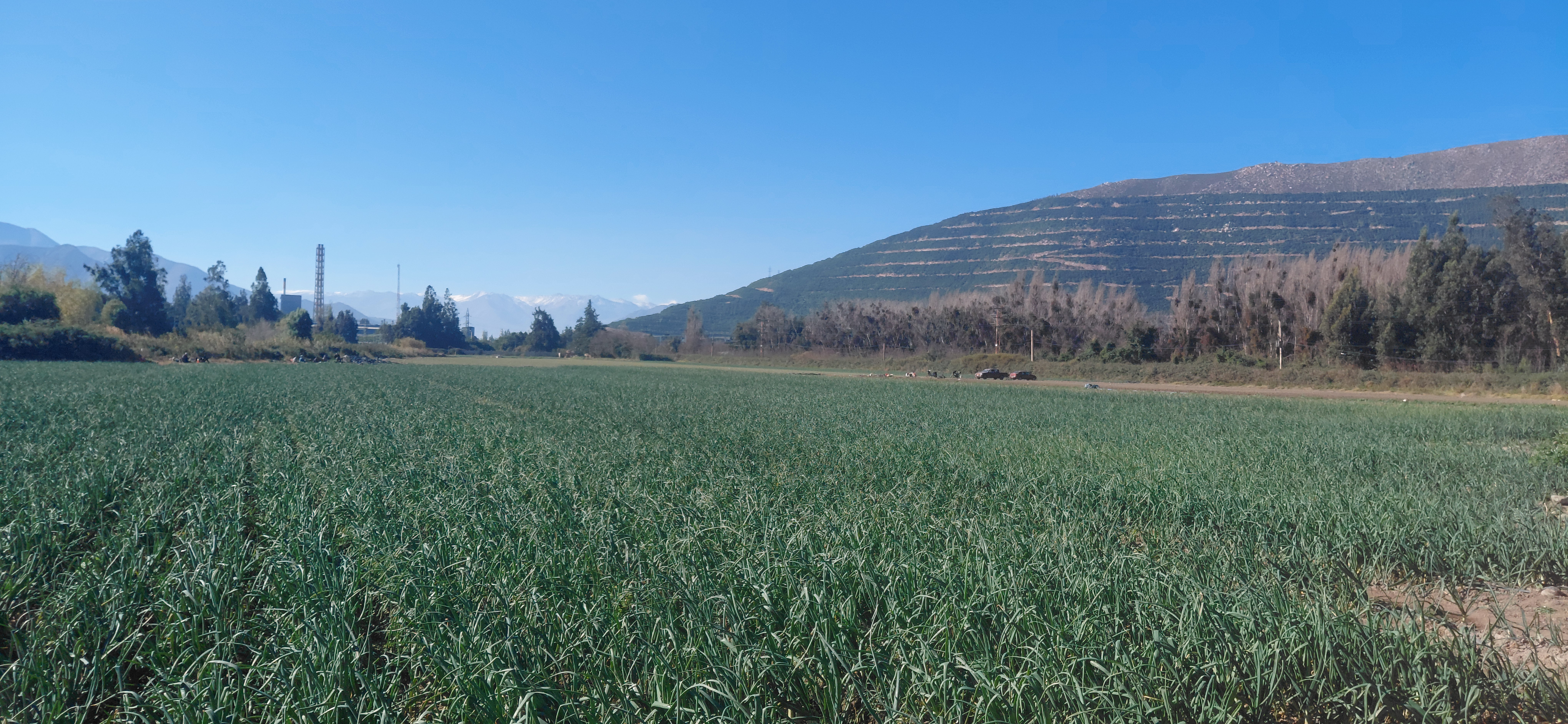 ¡Terreno agrícola de 8,7 hectáreas con derechos de agua! - foto 2