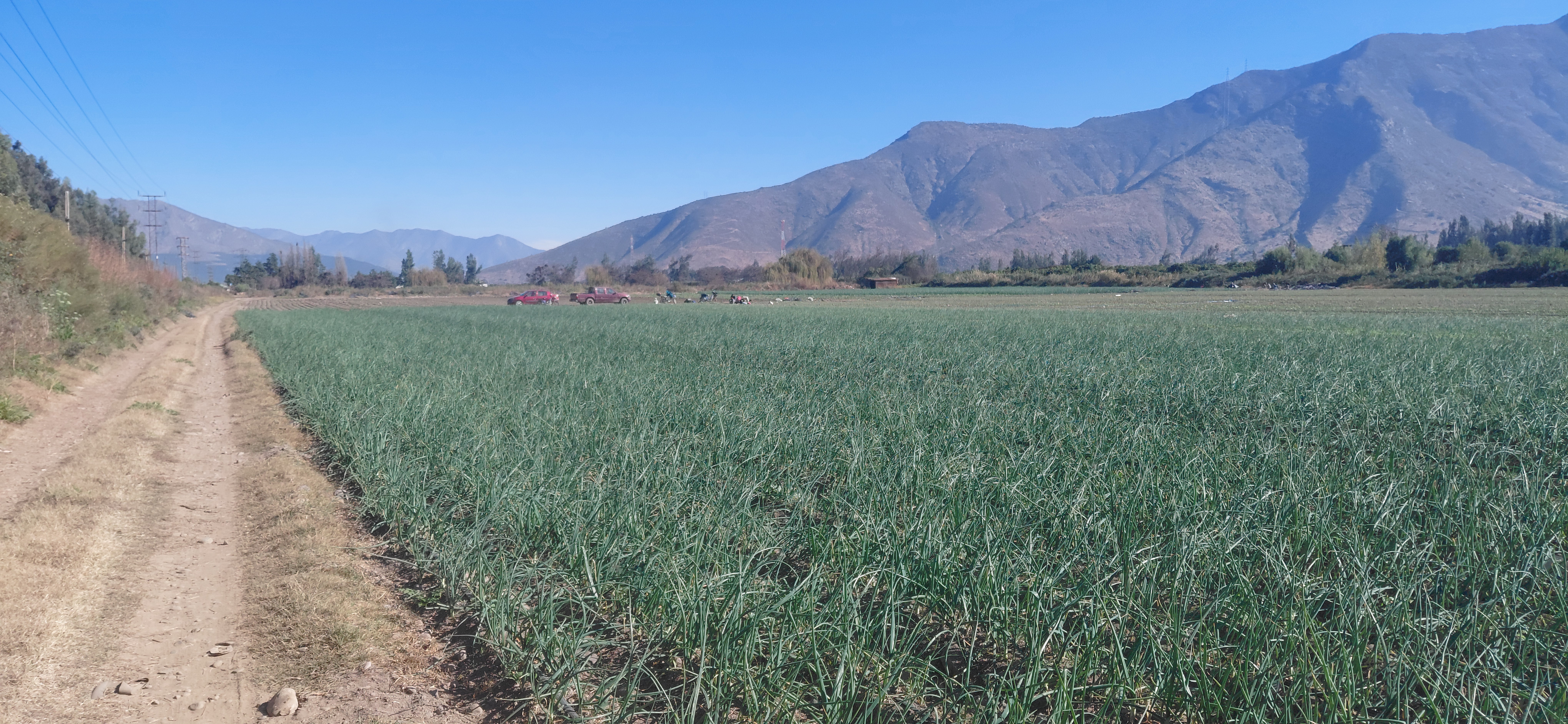 ¡Terreno agrícola de 8,7 hectáreas con derechos de agua! - foto 4