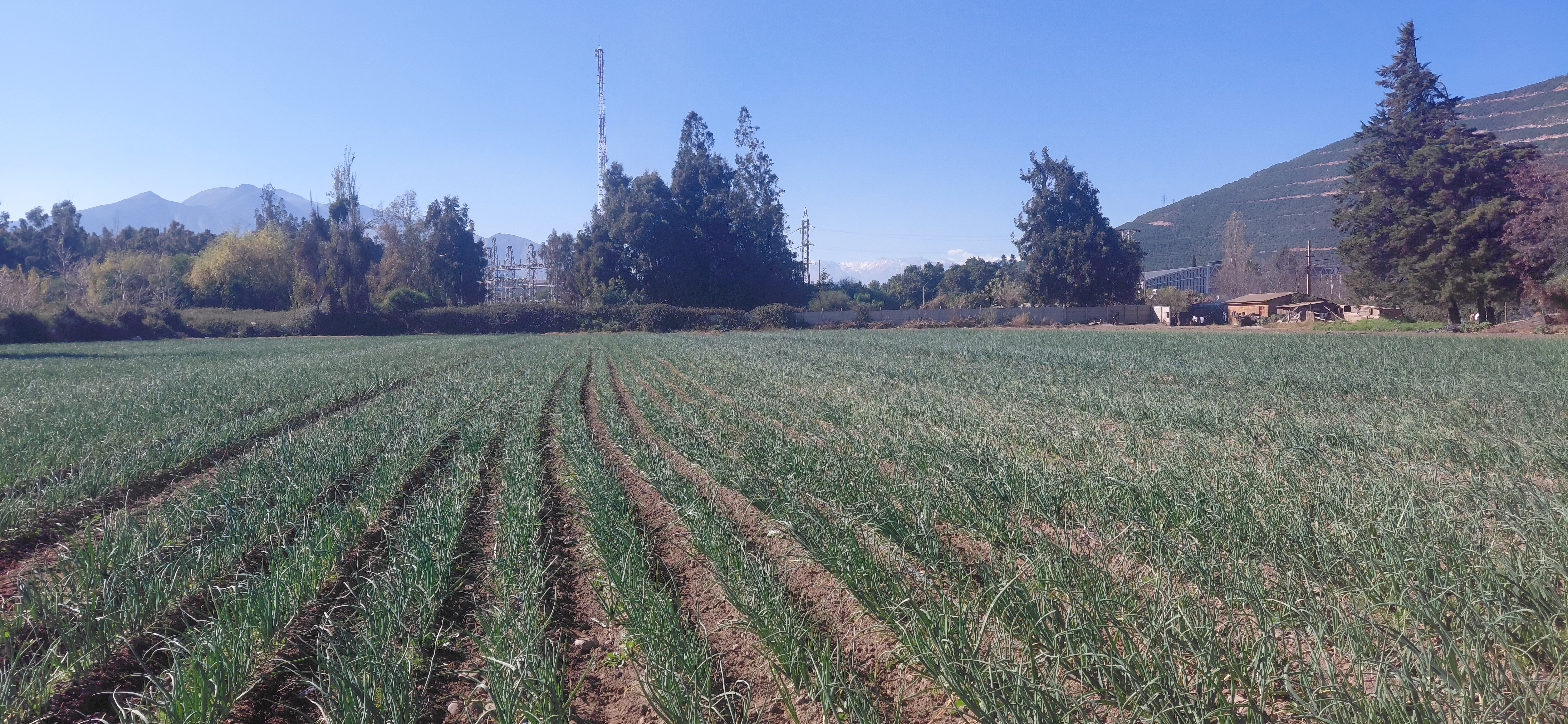 ¡Terreno agrícola de 8,7 hectáreas con derechos de agua! - foto 7