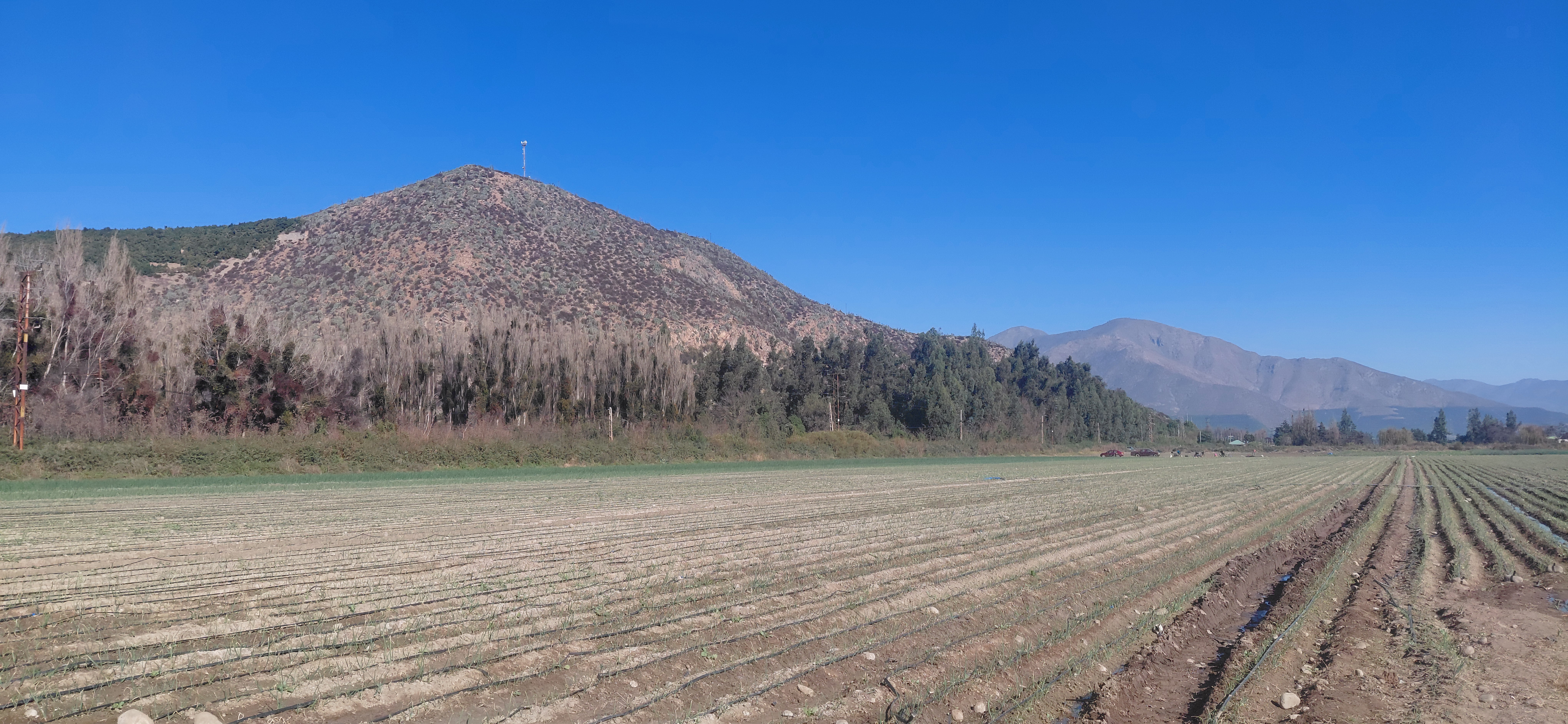 ¡Terreno agrícola de 8,7 hectáreas con derechos de agua! - foto 8