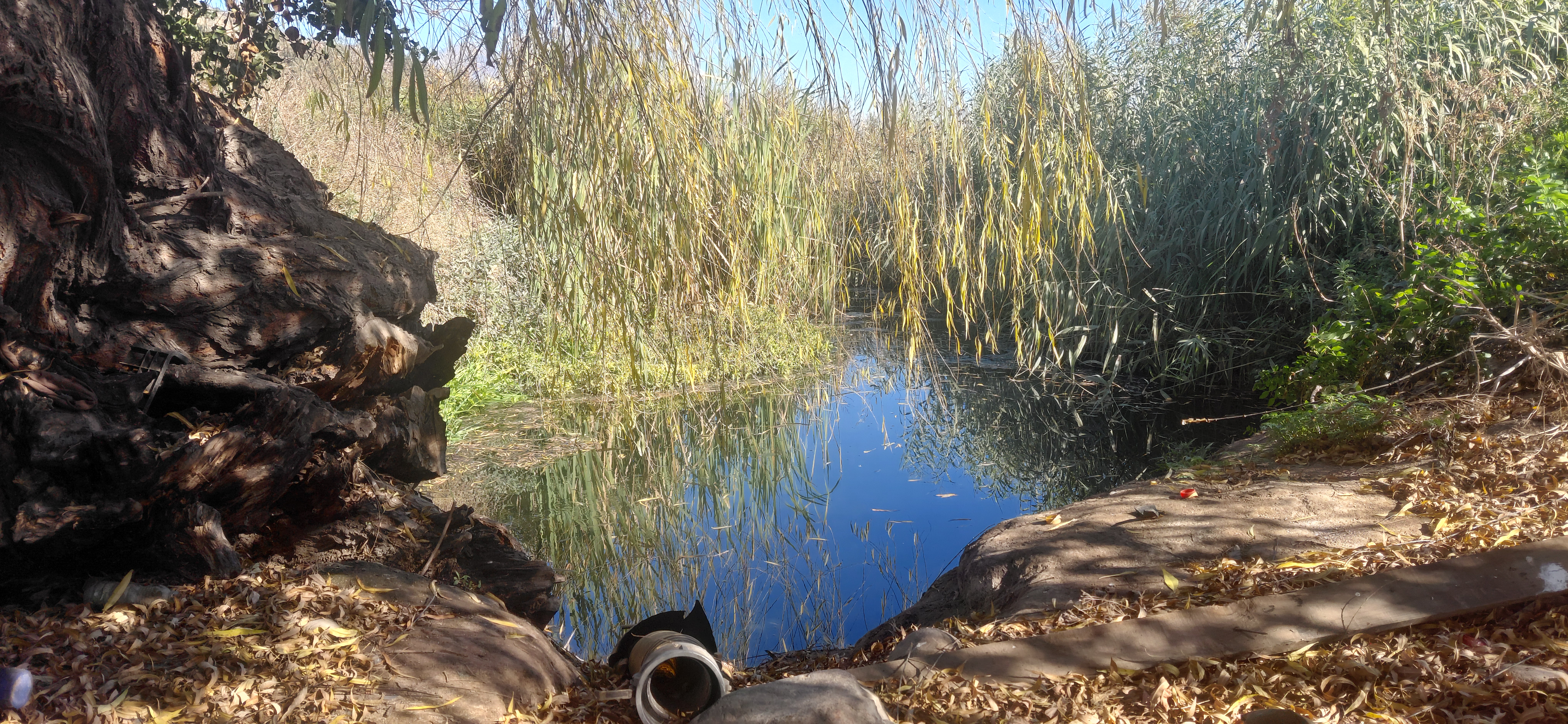 ¡Terreno agrícola de 8,7 hectáreas con derechos de agua! - foto 9