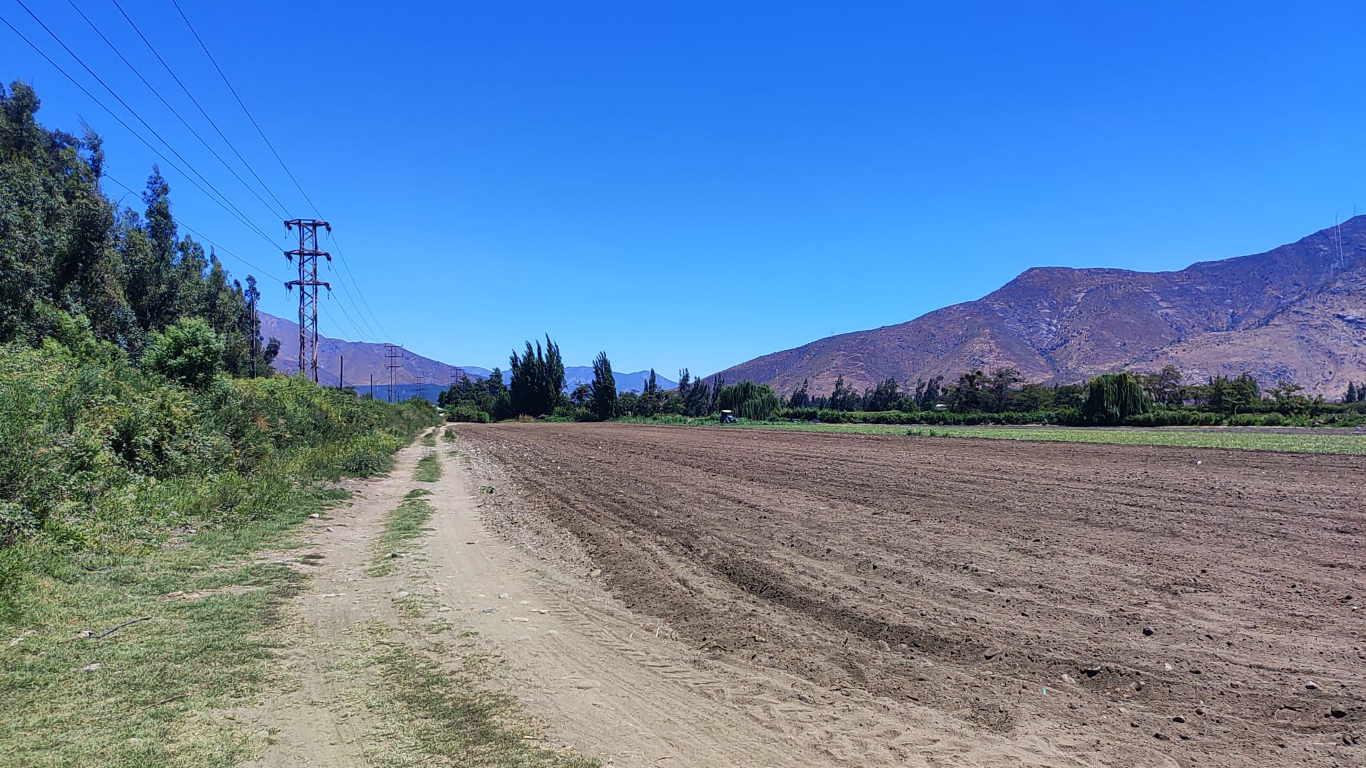 ¡Terreno Agrícola de 8 Hectáreas con Inmejorable Ubicación! - foto 4