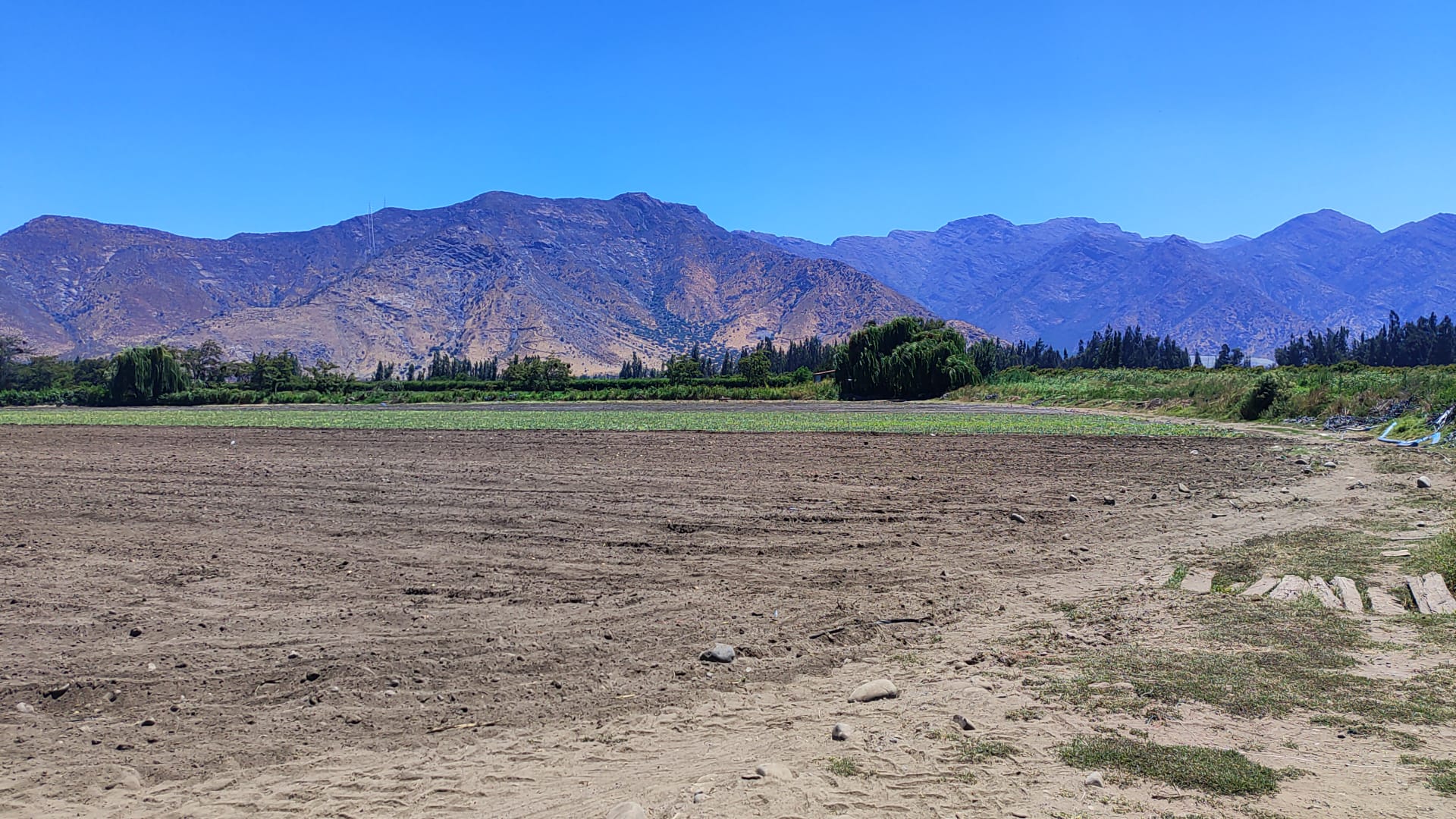 ¡Terreno Agrícola de 8 Hectáreas con Inmejorable Ubicación! - foto 2